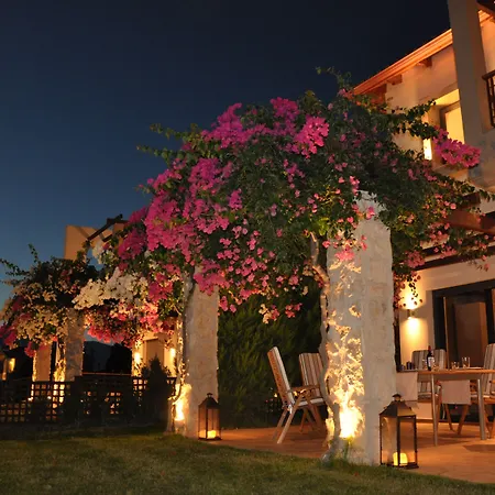 Carlos * Agios Vasilios (Peloponnese)