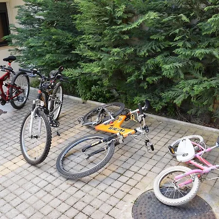 Carlos Agios Vasilios (Peloponnese)